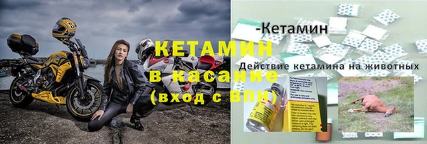 СК Михайлов