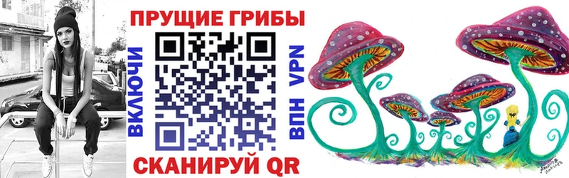 продажа наркотиков Курск МЕГА сайт Галлюциногенные грибы MAGIC MUSHROOMS