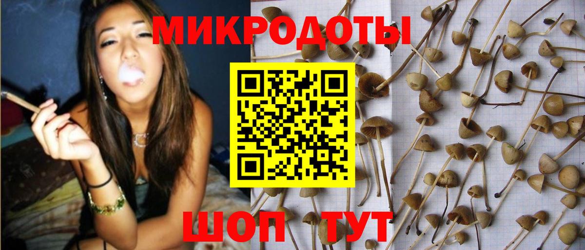 Галлюциногенные грибы ЛСД Курск