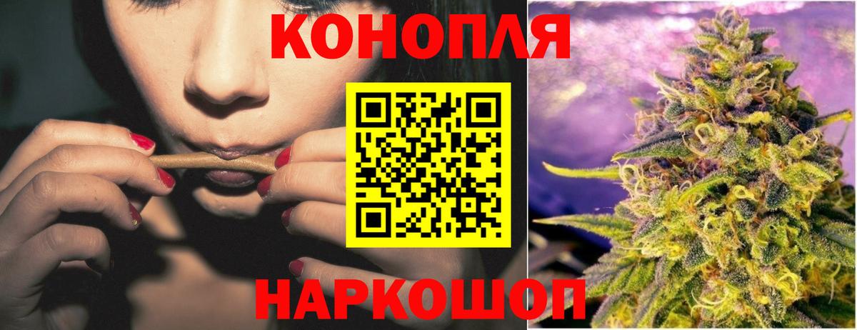 Бошки Шишки семена Курск